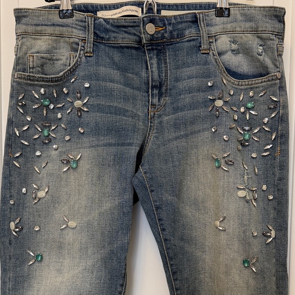 Pilcro Denim - Anthropologie Pilcro Hyphen Embellished Blue Jeans with Floral Accents 29/8